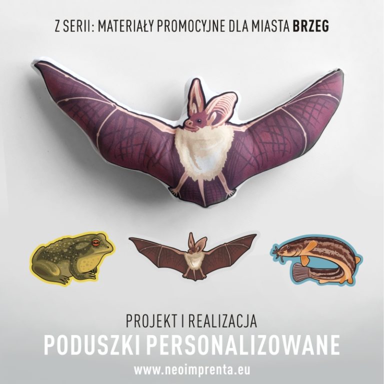 05-poduszki-maskotki